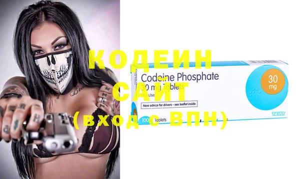 шишки Медвежьегорск