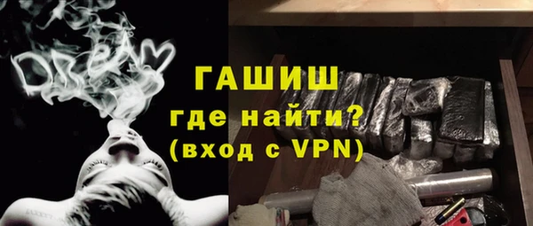 шишки Медвежьегорск