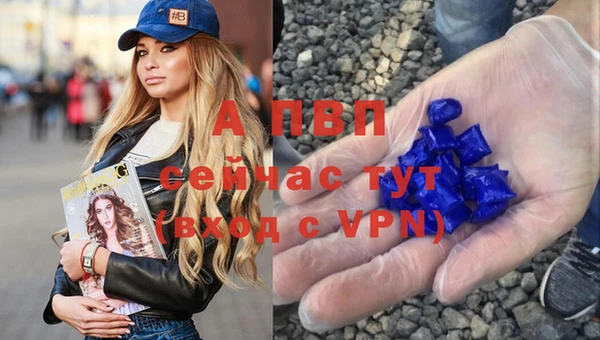 стафф Усмань