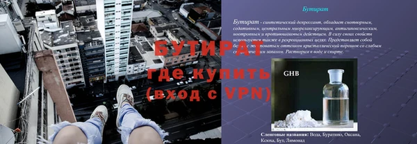 шишки Медвежьегорск